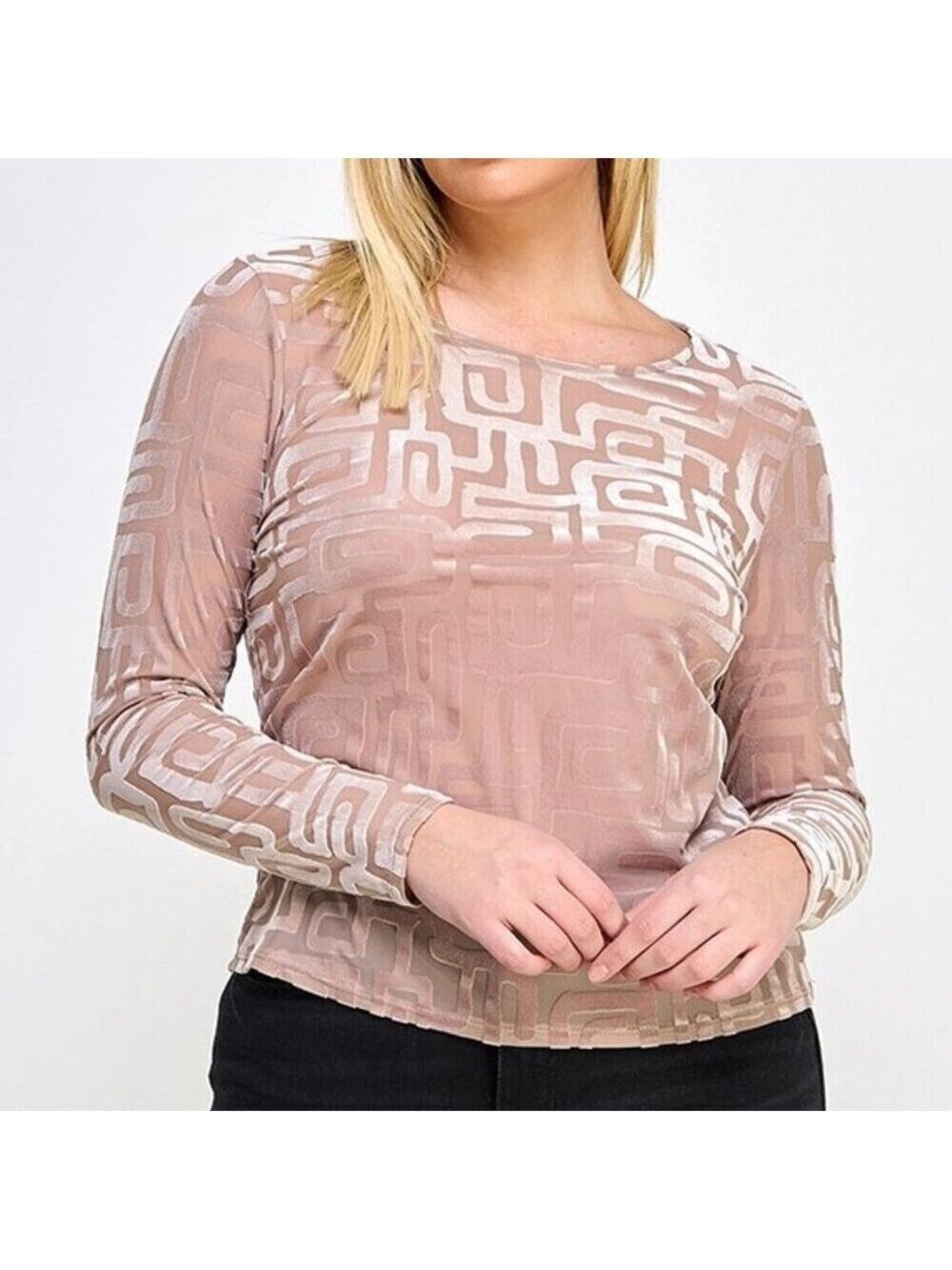 Plus Size Burnout Velvet Top Women's XL-2X